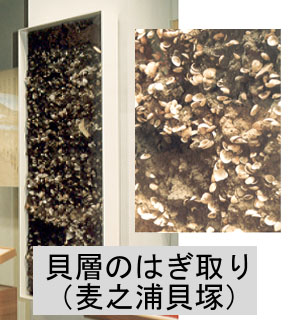 問題画像